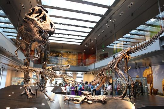 Admission: Natural History Museum of Los Angeles County