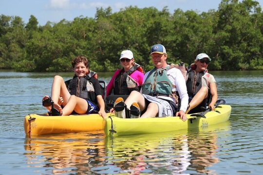 Deluxe Kayak Tour Marco Island and Naples, Florida