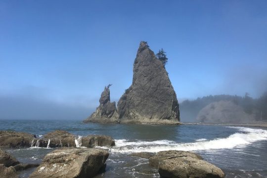 Private Day Hike- Rialto Beach Tide Pooling