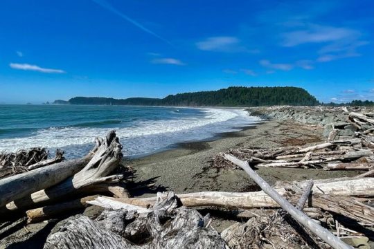 Private Day Hike in the Ozette Triangle