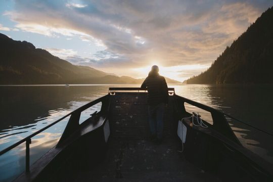 Alaska Wildlife Tour in Kachemak Bay