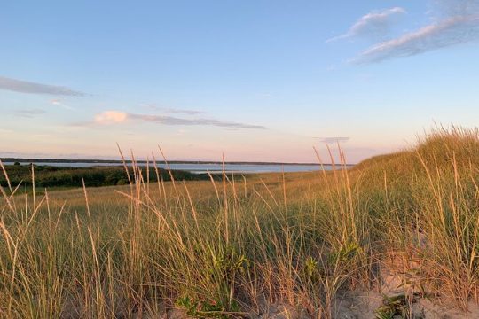 Private, Guided Sightseeing Tour of Marthas Vineyard Island(3hrs)