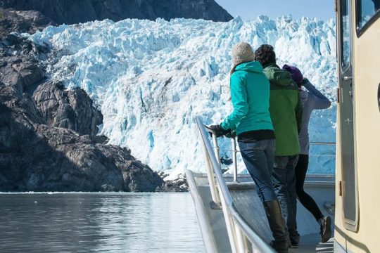 Full-Day Kenai Fjords National Park Northwestern Cruise