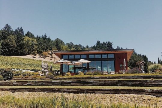 Private Wine Tour for 1-5 People in Oregon