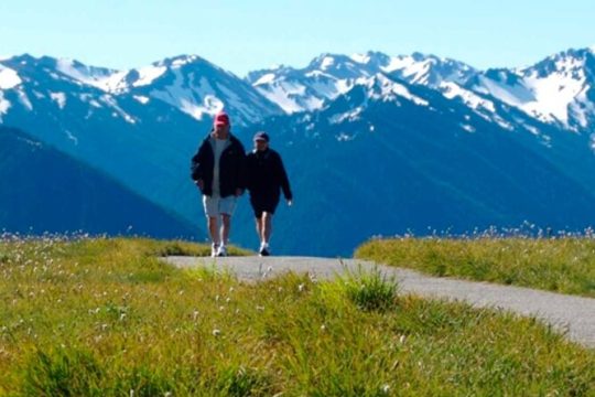 Explore Olympic National Park from Seattle through Van /Ferry