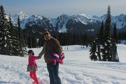 Explore Mt. Rainier National Park with a Local Guide