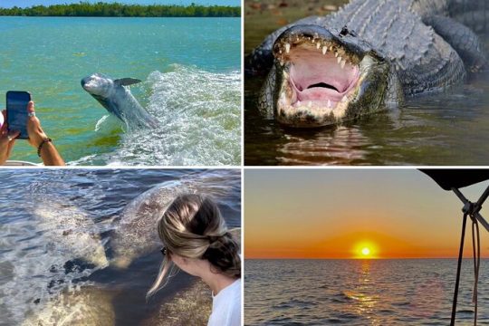 Manatee, Dolphin and 10,000 Islands Sunset Cruise!