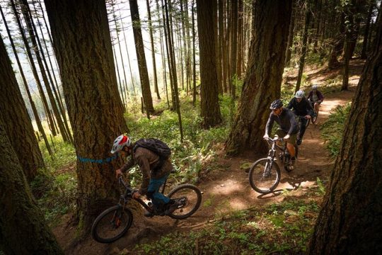 Mountain Bike Half-Day Private Tour