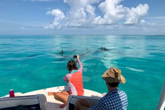 Half Day Private Boat Tour