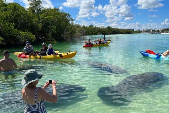 Self-Guided Island Tour - CLEAR or Standard Kayak or Board - Bonita Springs