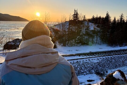 Ultimate Anchorage Winter Wildlife & Sunset Tour