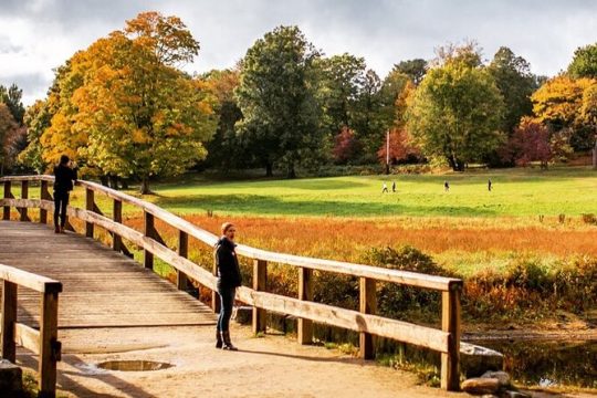 Lexington and Concord private half day tour