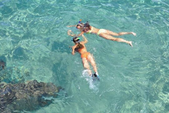 Marathon Key: 3-hour Snorkeling adventure on a Pontoon at Sombrero Reef