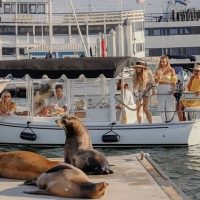 Cruises, Sailing & Water Tours