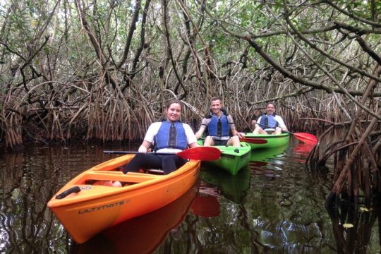 Marco Island Mangrove Tunnel and Maze Adventure