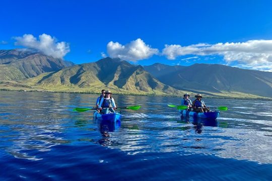 Kayak, Whale Watch, and Snorkel @ Turtle Town With Optional Photo