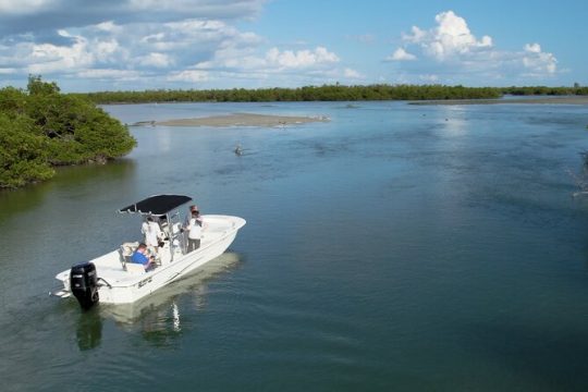 Private 10,000 Islands Eco Tour