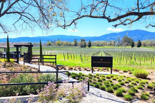 Half Day Private Champagne Wine Tour to Sonoma and Napa