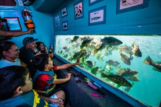 Glass Bottom Boat Ride in Redondo Beach