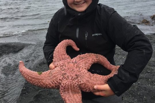 Low Tide Excursion & Beach Bonfire (w/ Totem Park Stop)