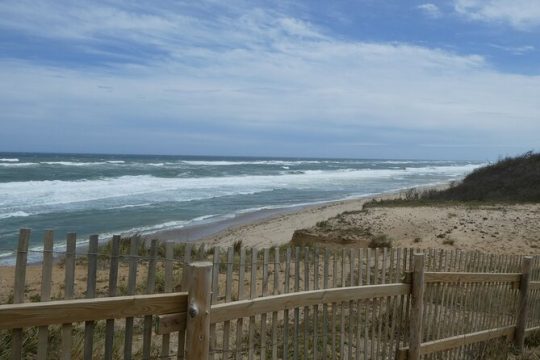 Cape Cod and Provincetown 9 Hour Private Day Tour