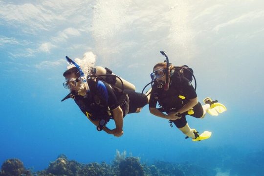 Half Day Scuba Diving Course enjoy Pool and Beach Dive Adventure