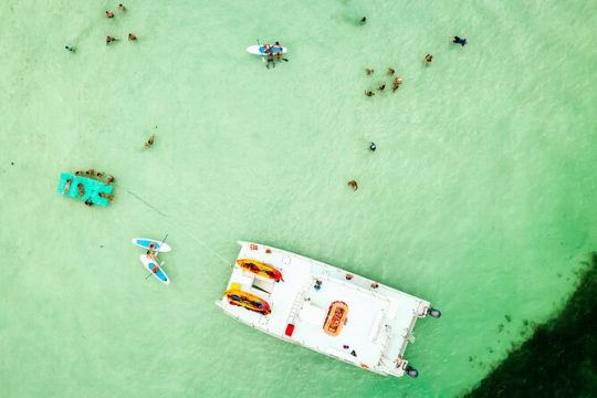 Epic Sandbar Safari With Dolphin Playground Encounter In Key West