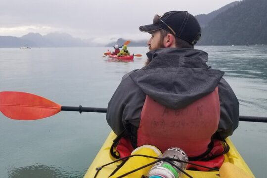 Kayak Paddle on Resurrection Bay