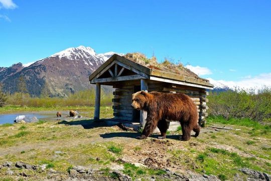 Anchorage to Whittier Cruise Transfer and Private Tour