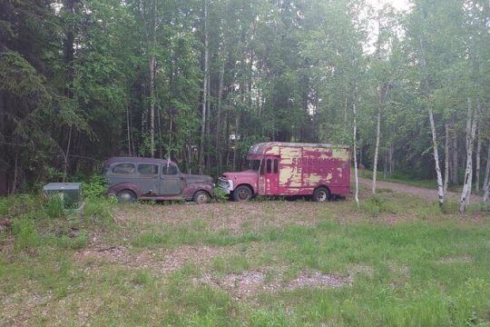 Full Day Sightseeing Tour in Denali Highway