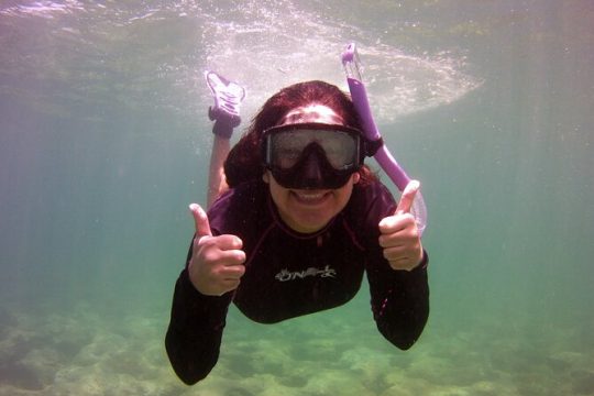 Guided Snorkel Experience in Fort Lauderdale