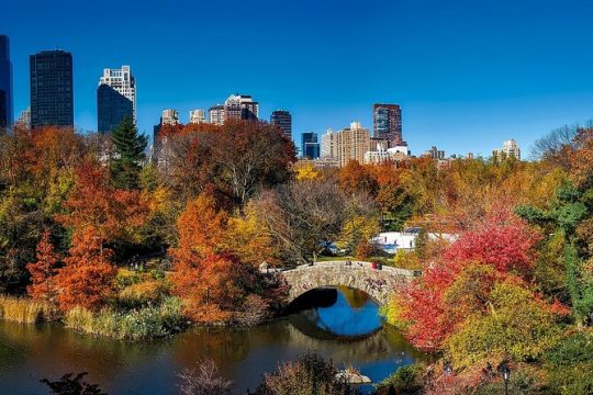 New York Shakespeare in Central Park: City Exploration Game