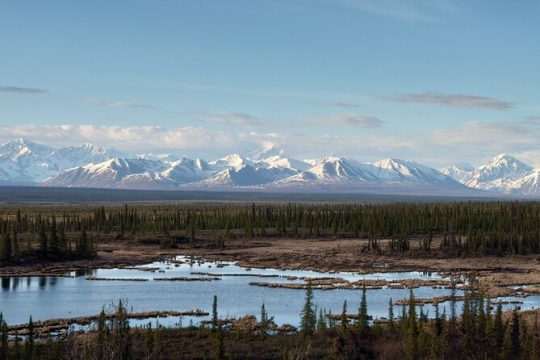 Denali - Fairbanks Shuttle service