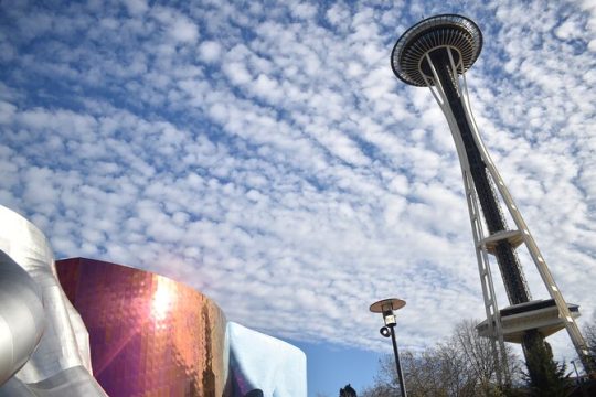 Space Needle and Seattle Center Experience 2 Hour Private Tour