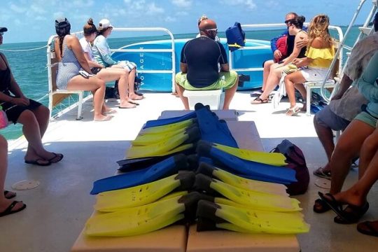 Islamorada: Snorkeling from the Islander Hotel