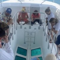 Cruises, Sailing & Water Tours