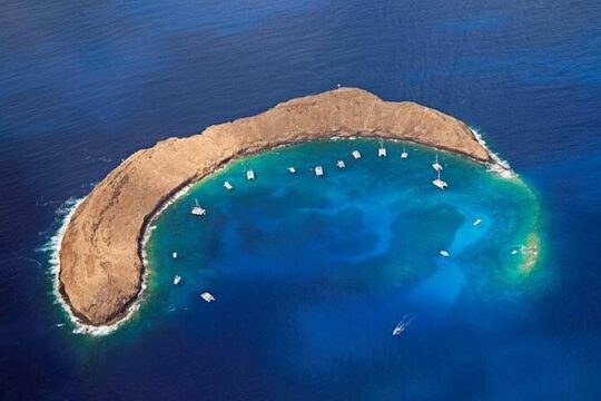 Two Stop Half-Day Snorkel Excursion in Maui