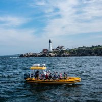 Boat Tours