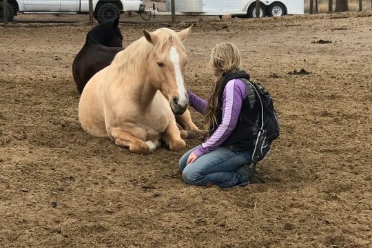 1.5 Hours Private Meditations with the Horses in Oregon