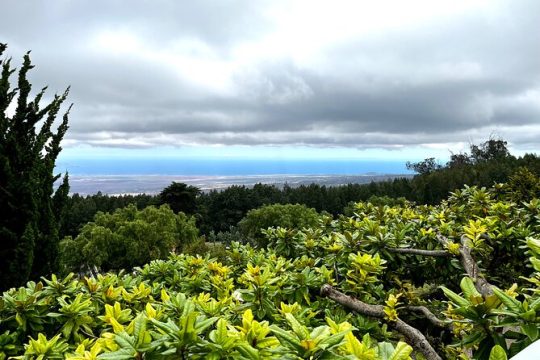 Private Upcountry Farm Tour on Maui