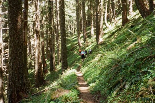 Private Adventure Mountain Biking in Seattle's Eastside