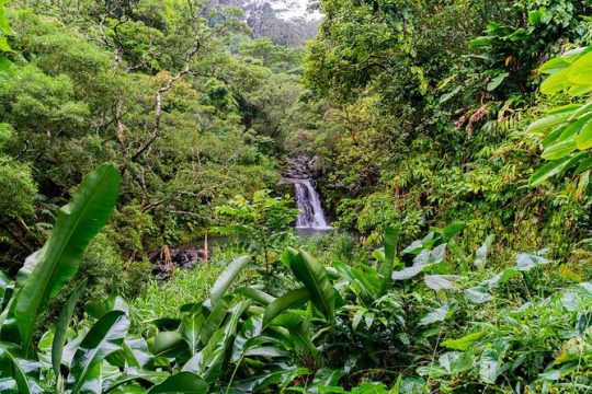 Full-Day Private Road to Hana Tour from Wailea - Kihei