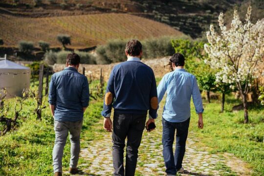 City Escape: Douro Valley Private Day Trip