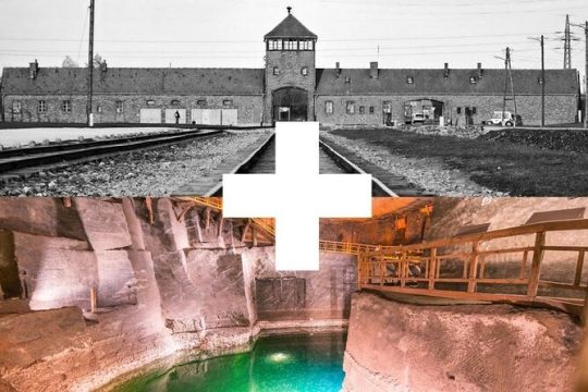 From Krakow: Auschwitz & Wieliczka Salt Mine Guided Tour