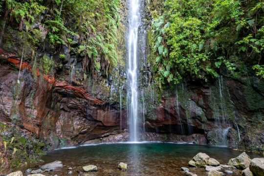 Hike 25 Fontes & Risco Levada Self-Guided