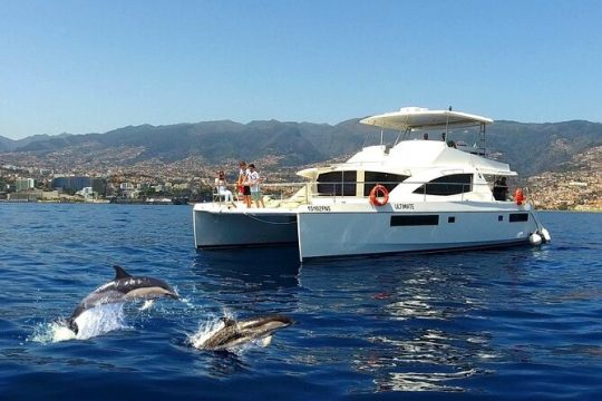 New Year’s Day long weekend in Funchal