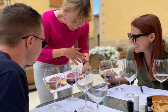 La Rioja Boutique Wine Tour - 2 Wineries & Picnic Lunch (From Bilbao)