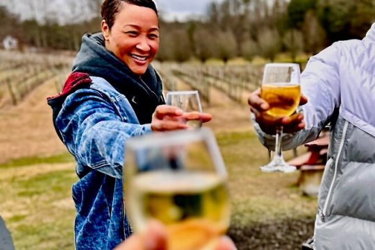 North Georgia Private Wineries Tour, Dine and Shop from Atlanta