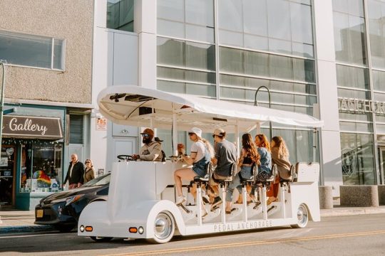 Downtown Anchorage Tour on 14-Passenger Electric Vehicle