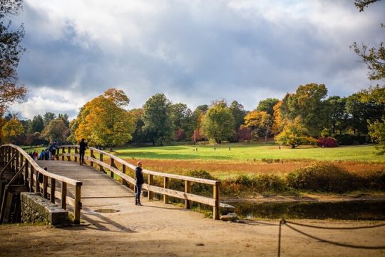 Lexington & Concord Private Guided Tour from Boston, groups 5-6